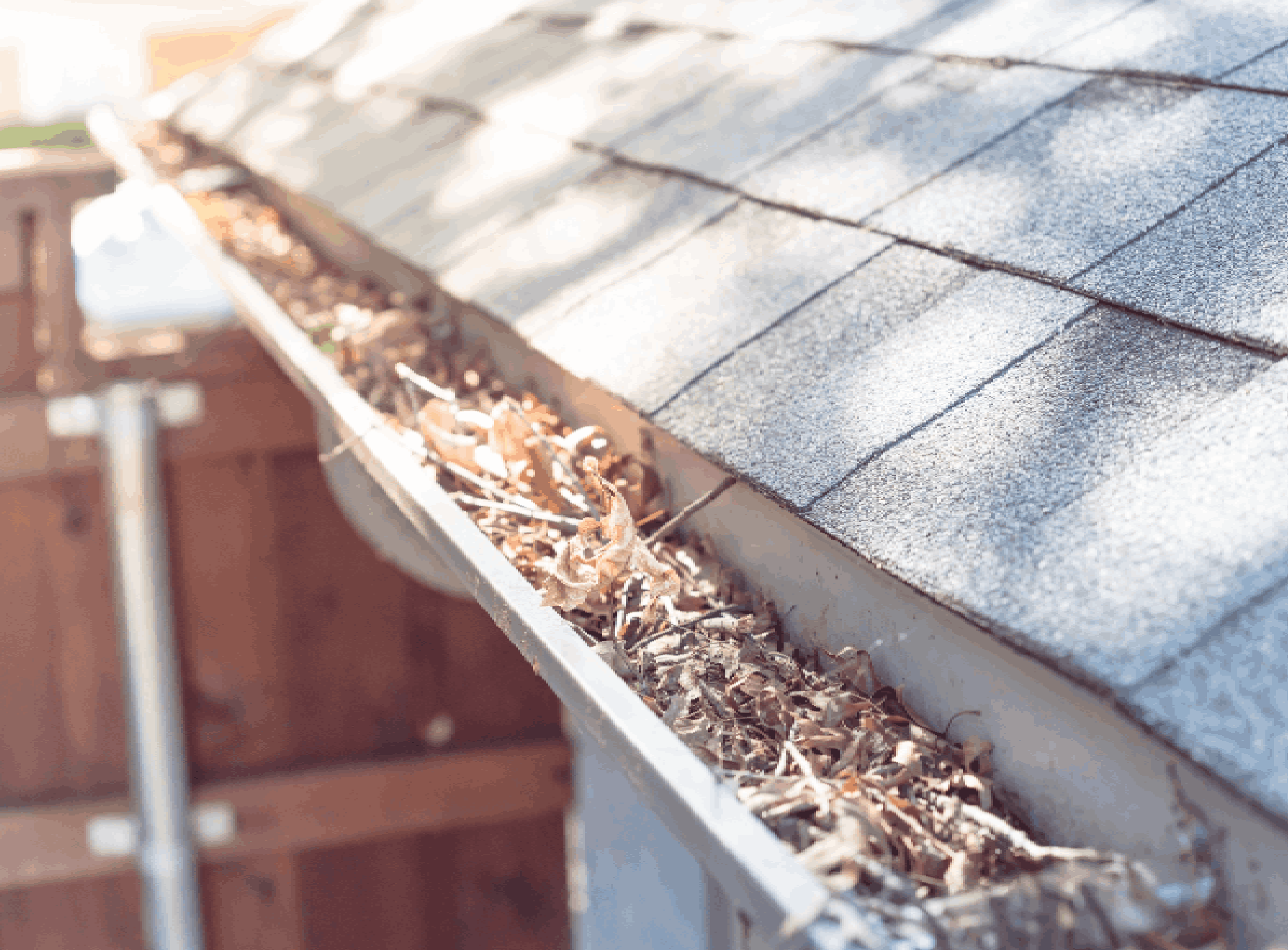 Gutter Near Roof Shingles Of Residential House Full Of Dried Leaves And Dirty Need To Clean-up. Gutter Cleaning And Home Maintenance