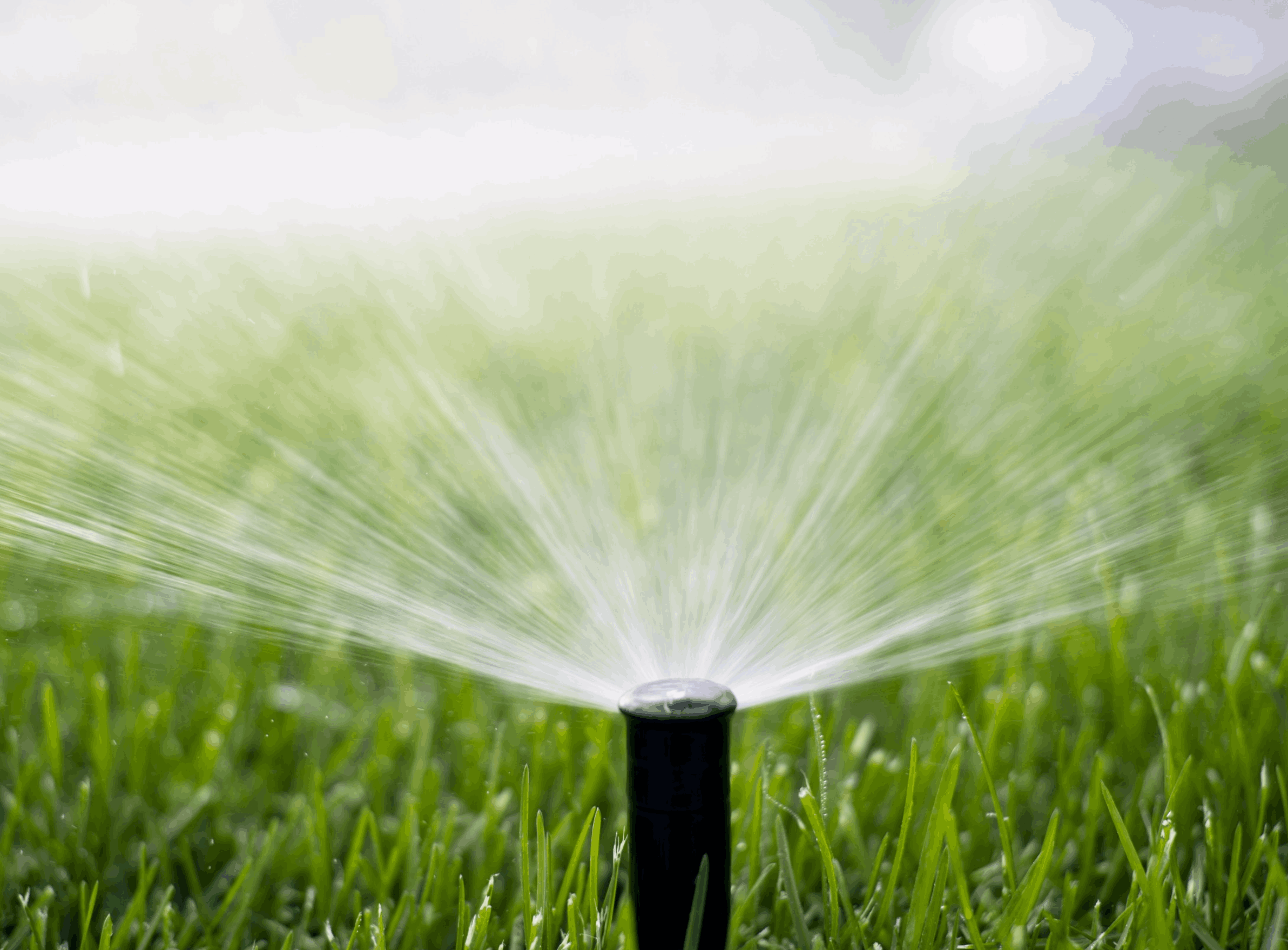 Grass Sprinkler