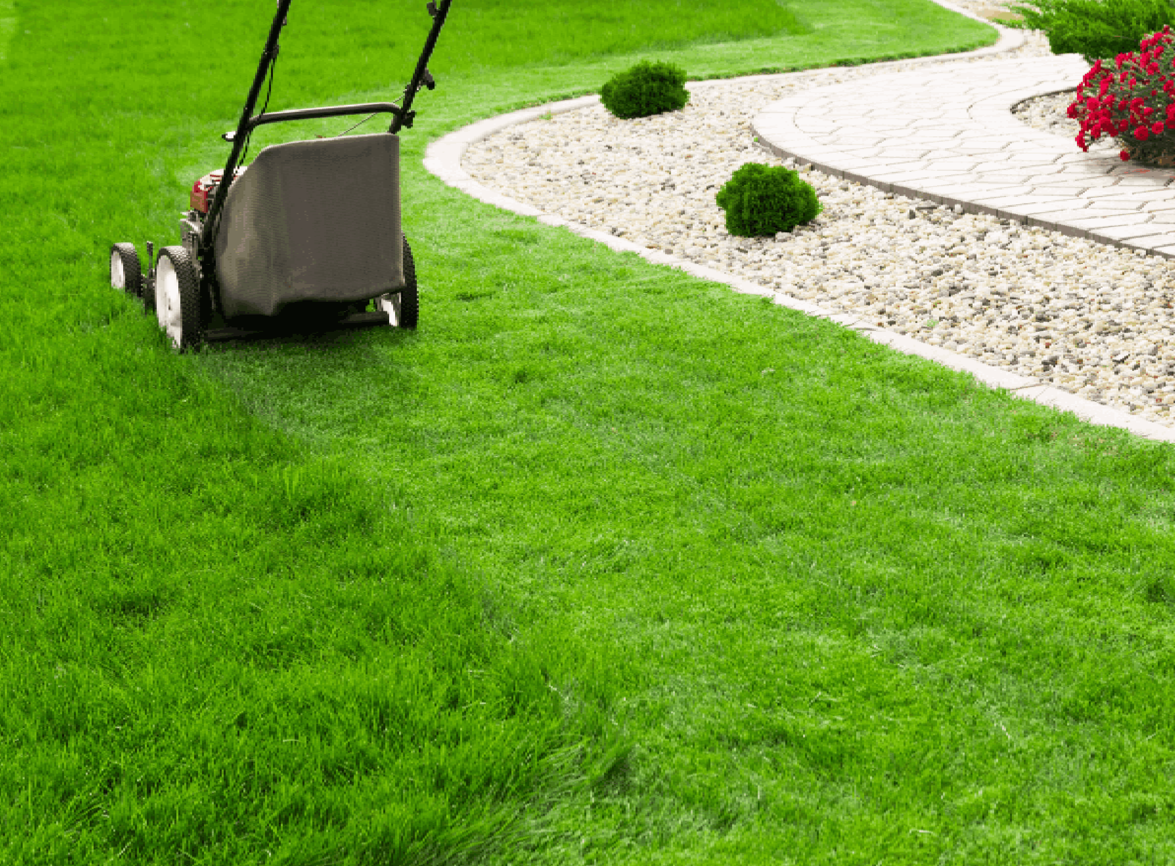 Lawn mower on green lawn